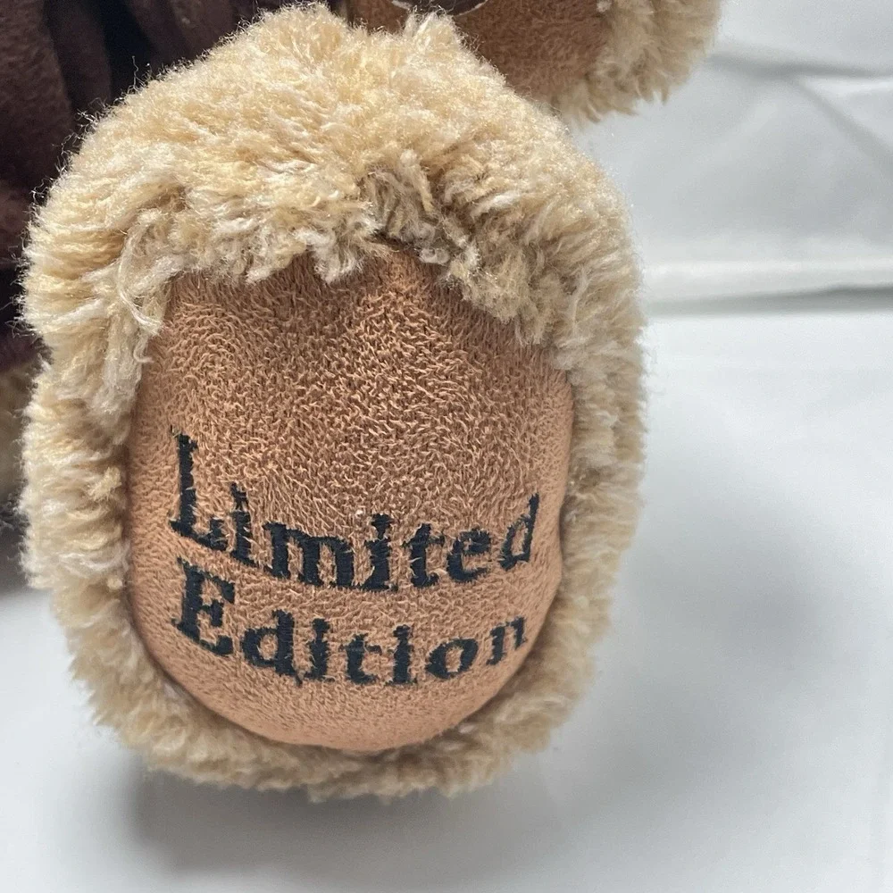 Vintage‎ 2003 Dan DeeWright Brothers 100th Anniversary Plush Bear Pilot Tested